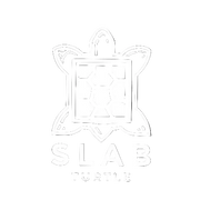 Slab Turtle