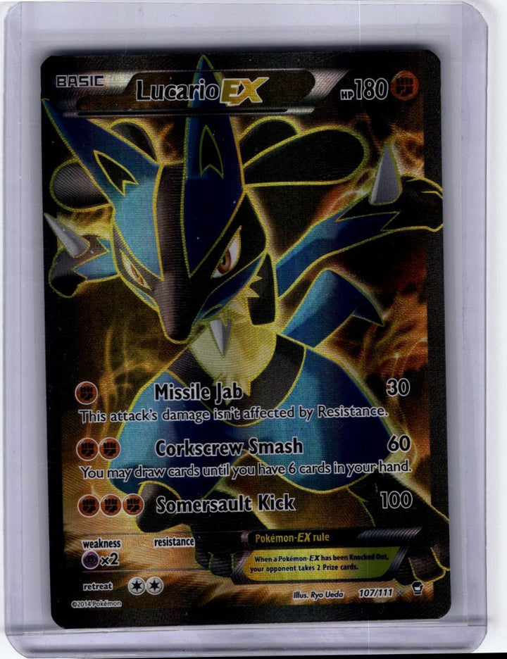 XY - Furious Fists 